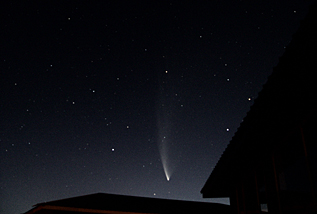 Comet McNaught