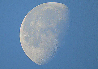 Morning Moon